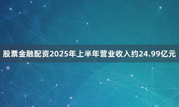 股票金融配资2025年上半年营业收入约24.99亿元